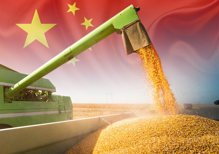 Perspectivas Atualizadas: Produção de Milho em Alta e Desafios na Produção de Soja na China para o Ano-Safra 2023/24