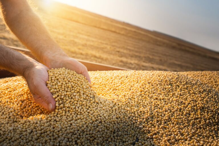 Analisando os Movimentos nos Mercados de Commodities Agrícolas