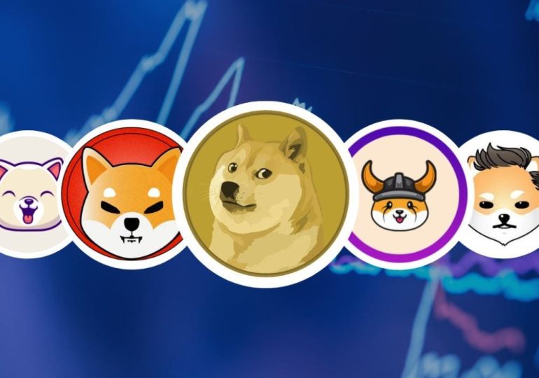 Memecoins vs. Altcoins: Qual Oferece Melhor Relação Risco-Retorno em 2024?