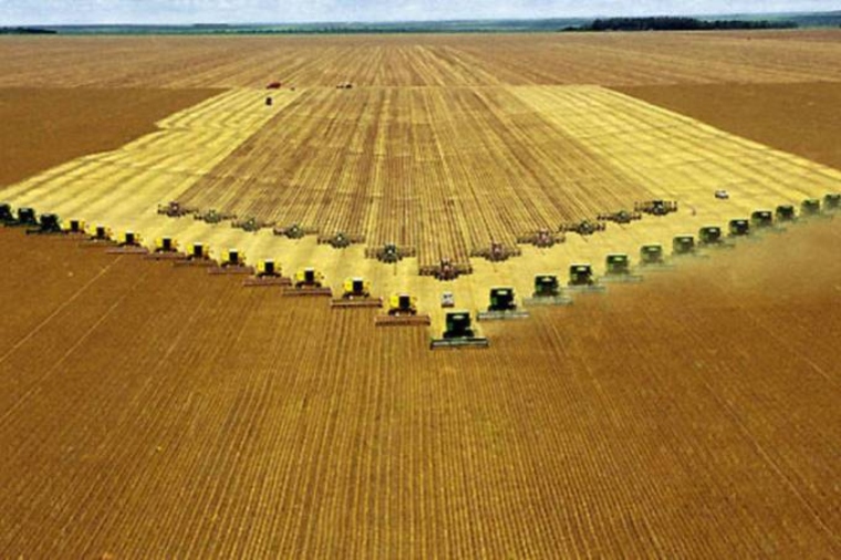 Agricultores Norte-Americanos Pedem que Alimentos Não Sejam Envolvidos em Guerra Comercial com a China