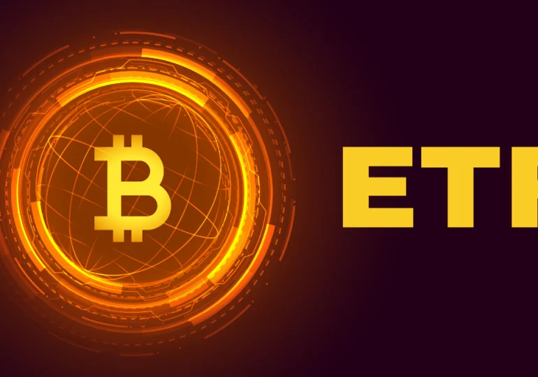 Riscos dos ETFs de Bitcoin: Concentração, Segurança e Instabilidade no Mercado de Criptomoedas