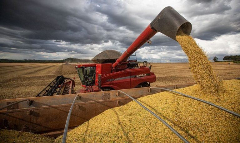 Conclusão da Colheita de Soja no Rio Grande do Sul: Desafios e Resultados