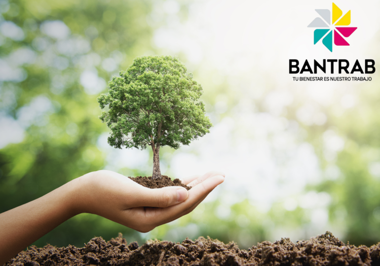 Bantrab: Un Compromiso Verde que Transforma el Futuro