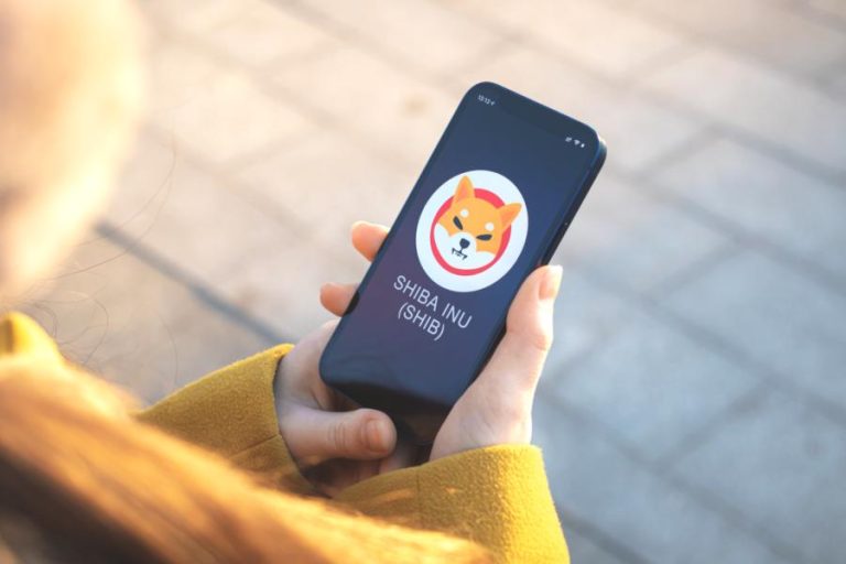 Shiba Inu (SHIB) Enfrenta Queda Significativa: O Impacto da Redução na Taxa de Queima e Desafios do Mercado