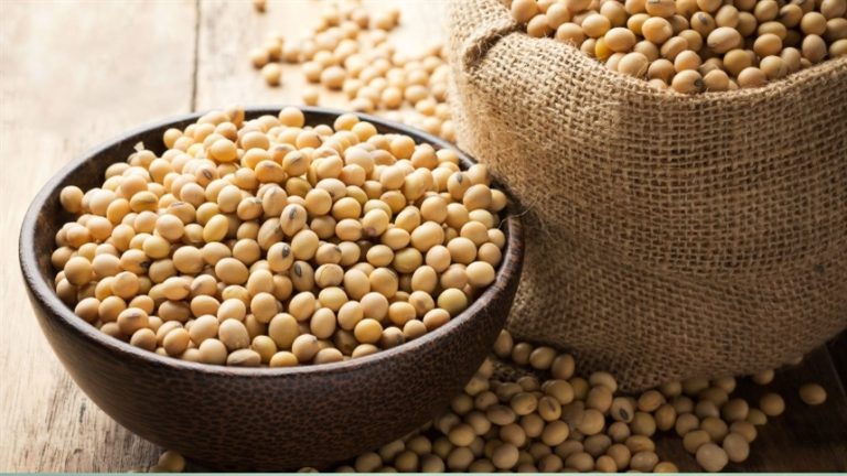 Preços Futuros da Soja Sobem na Bolsa de Chicago e Expectativas para o USDA