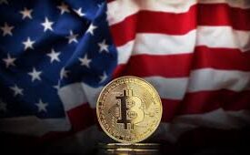 Bitcoin e o Impacto das Eleições nos EUA: Expectativas de Mercado