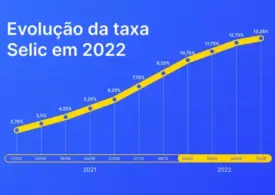 Inflação e Aumento da Taxa de Juros no Brasil em 2024