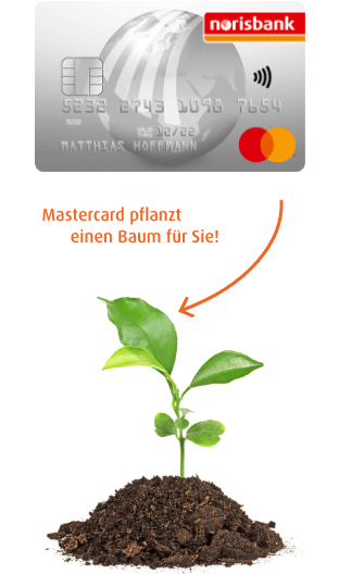 Norisbank Mastercard und Nachhaltigkeit: Ein konkretes Engagement für unseren Planeten